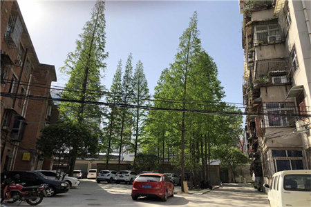 清河畔景佳和苑2室2厅1卫60万97.6m2简单装修出售